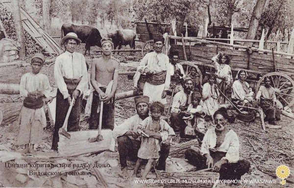 Wytw&oacute;rcy koryt