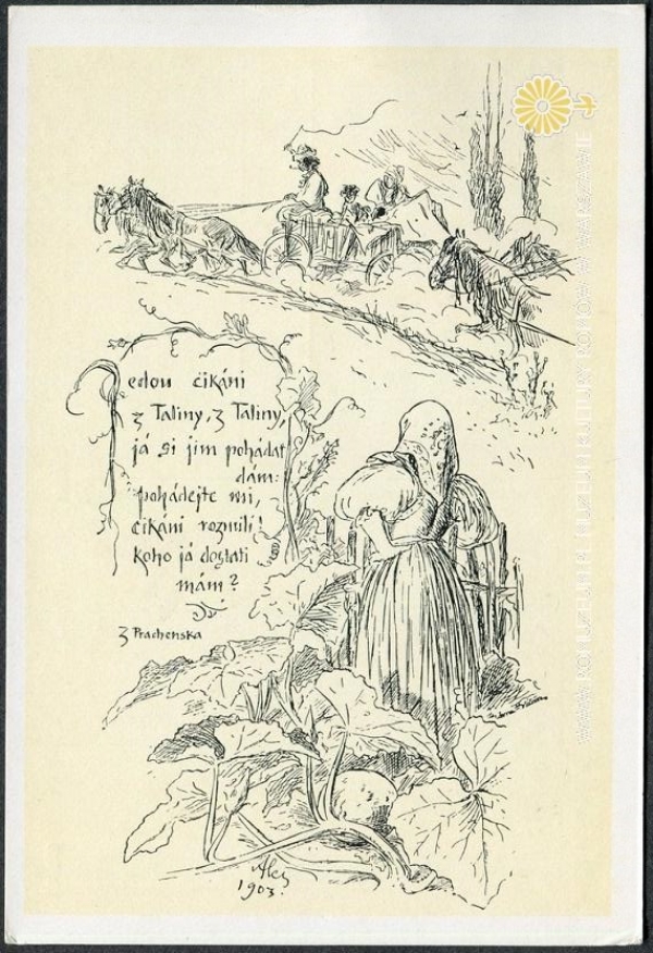 Jedou cik&aacute;ni z Taliny