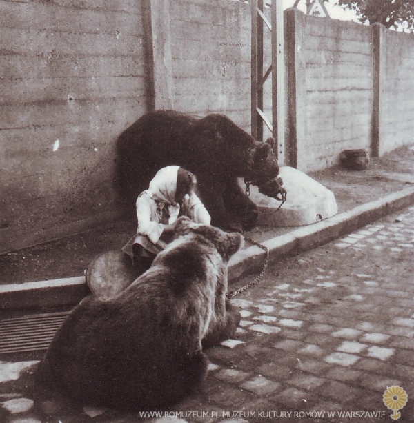 Dziewczynka z niedźwiedziami (3)