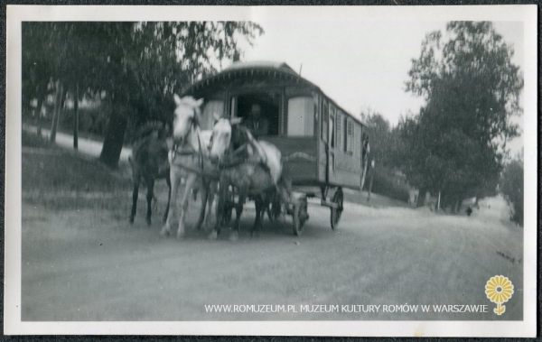 W&oacute;z typu niemieckiego
